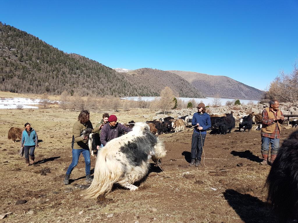 Vast Mongolia Tour & Hostel Ουλάν Μπατόρ Εξωτερικό φωτογραφία