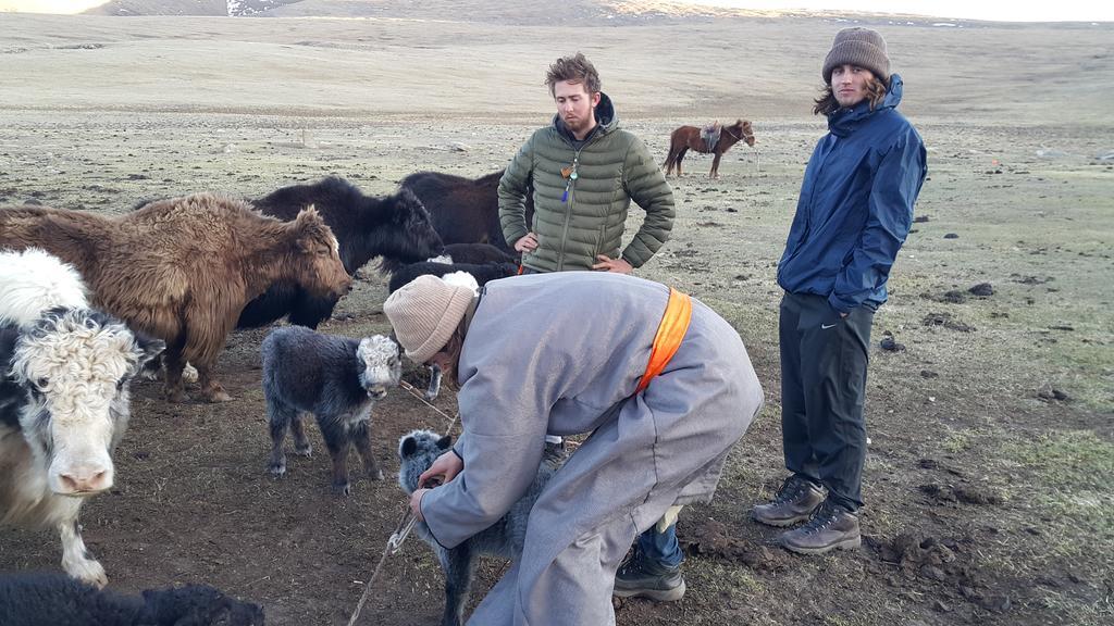 Vast Mongolia Tour & Hostel Ουλάν Μπατόρ Εξωτερικό φωτογραφία