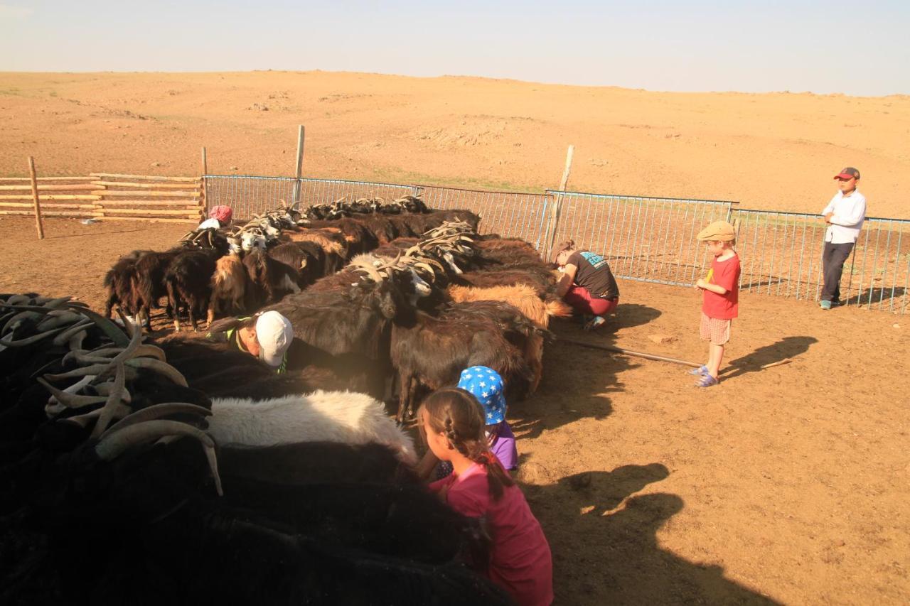 Vast Mongolia Tour & Hostel Ουλάν Μπατόρ Εξωτερικό φωτογραφία